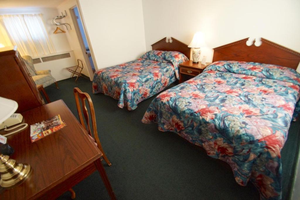 Birds Nest Motel 스캐니틀리스 객실 사진